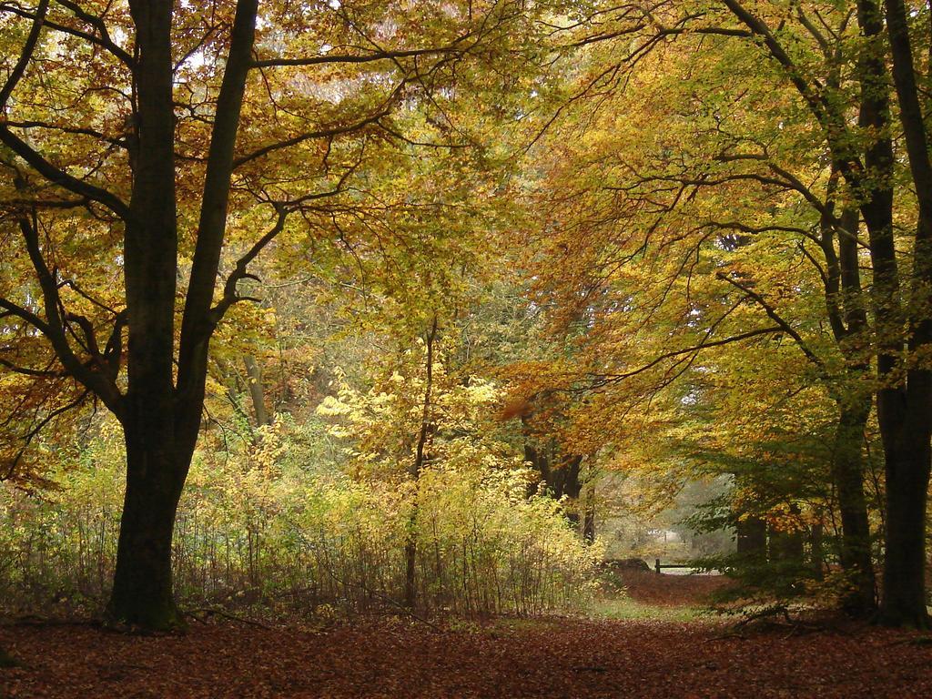 Hof Van Putten Exteriör bild
